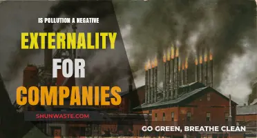 Pollution's Impact: Corporate Negative Externalities