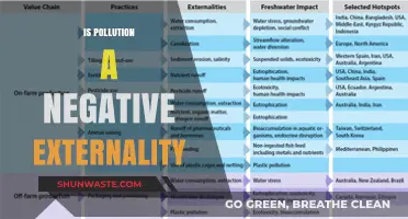 Pollution's Negative Externality: Understanding the True Cost