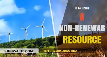 How Pollution Impacts Our Finite Resources