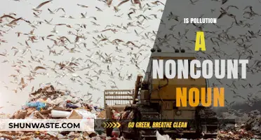 Understanding Pollution: A Noncount Noun Exploration
