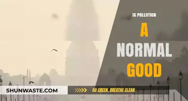 The Pollution Paradox: Are We Normalizing Destruction?