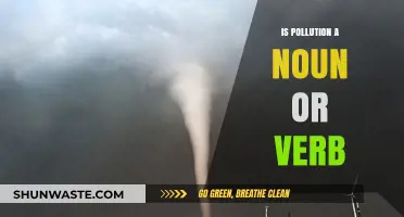The Action of Pollution: Noun or Verb?