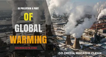 The Warming World: Pollution's Role in Climate Change
