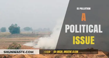 The Political Nature of Pollution