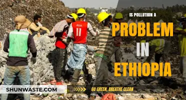 Ethiopia's Pollution Crisis: A Growing Concern