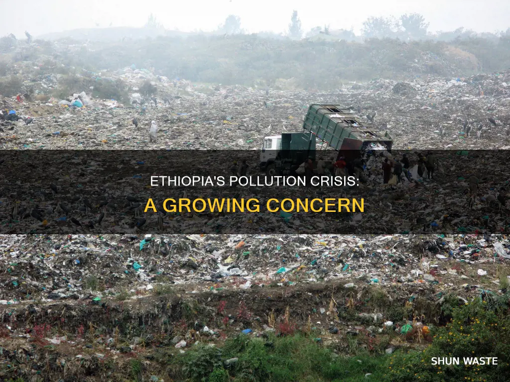 is pollution a problem in ethiopia