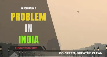Pollution in India: A Growing Concern?