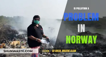 Norway's Pollution Problems: A Comprehensive Overview