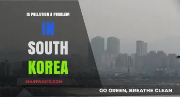 South Korea's Pollution Problem: A Growing Concern