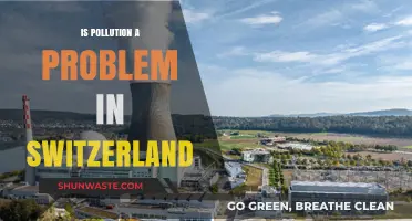 Switzerland's Pollution Problem: Is It Real?