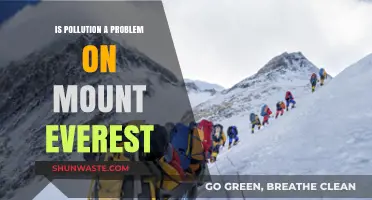 Everest's Pollution Problem: A Growing Concern