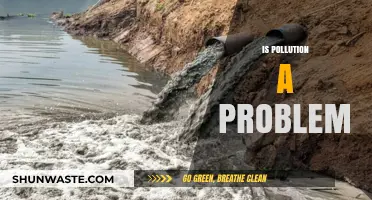 Pollution's Impact: A Global Problem?