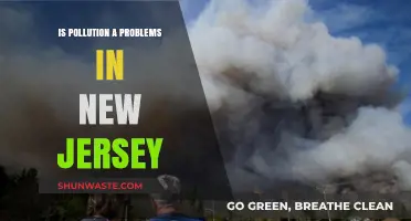The Pollution Problem in New Jersey