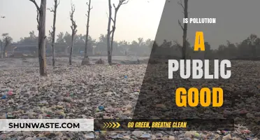 Pollution's Public Good Paradox: Who Pays the Price?
