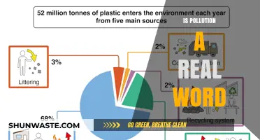 The Pollution Problem: Is It a Real Word?