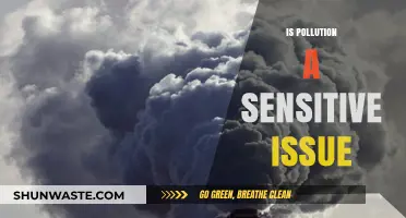 The Pollution Problem: A Sensitive Issue?
