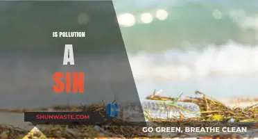The Pollution Sin: A Moral and Ethical Dilemma