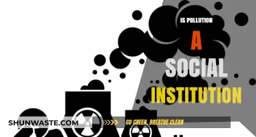 Pollution as a Social Institution: A Harmful Norm?