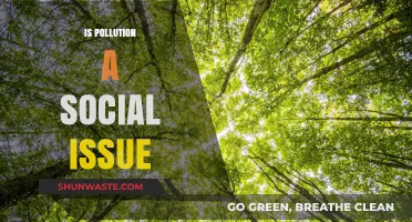 Pollution's Social Impact: A Global Concern?
