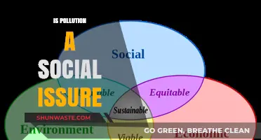 Pollution's Social Impact: A Global Concern
