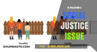 Pollution's Social Justice Impact: Who Suffers Most?