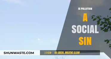 Pollution's Social Sin: A Collective Moral Failure