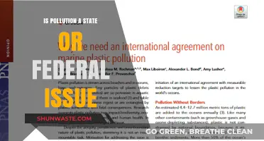 Pollution Politics: State vs Federal Jurisdiction