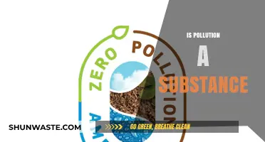What is Pollution? Understanding the Nature of Pollutants