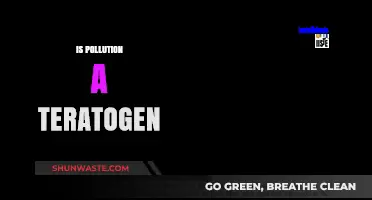 Pollution's Teratogenic Effects: Understanding the Impact