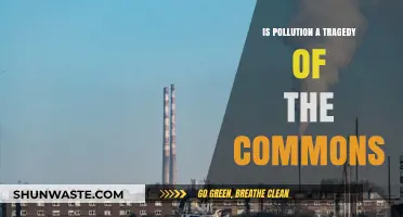 Pollution's Tragedy: Commons' Bane