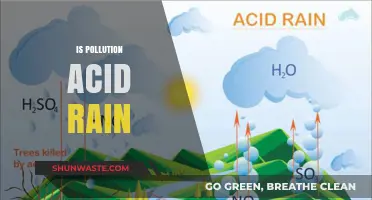 How Acid Rain is Caused by Pollution