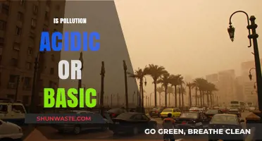 The Nature of Pollution: Acidic or Basic?
