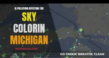 Michigan's Changing Skies: Pollution's Impact and Influence