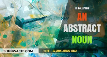 Understanding Pollution: Abstract Noun or Not?