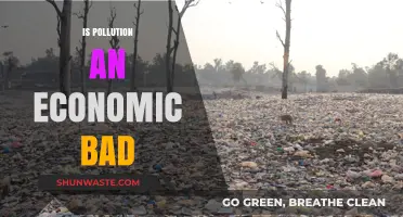 Pollution's Economic Impact: Costs and Consequences