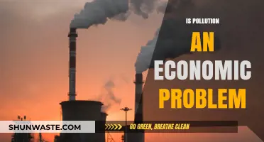 Pollution's Economic Impact: Who Pays the Price?