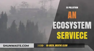 Pollution's Impact: Are Ecosystem Services at Risk?