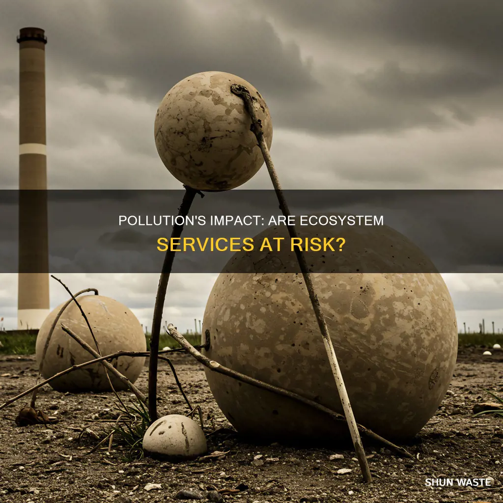 is pollution an ecosystem serviece