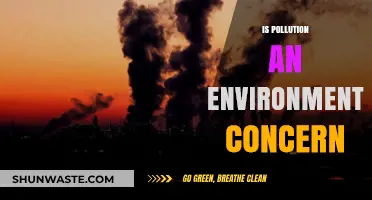 Pollution's Impact: Our Planet's Future Concern