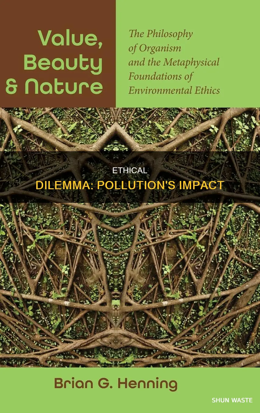 is pollution an ethical issue
