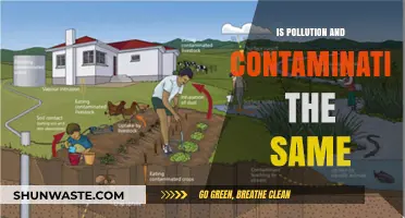 Pollution vs Contamination: What's the Real Difference?