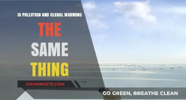 Pollution and Warming: What's the Real Difference?
