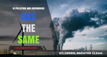 Greenhouse Gas vs Pollution: What's the Difference?