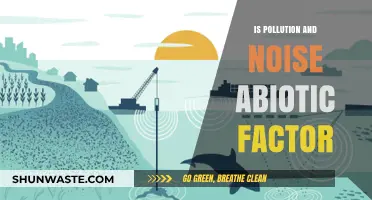 Abiotic Factors: Pollution and Noise Explained