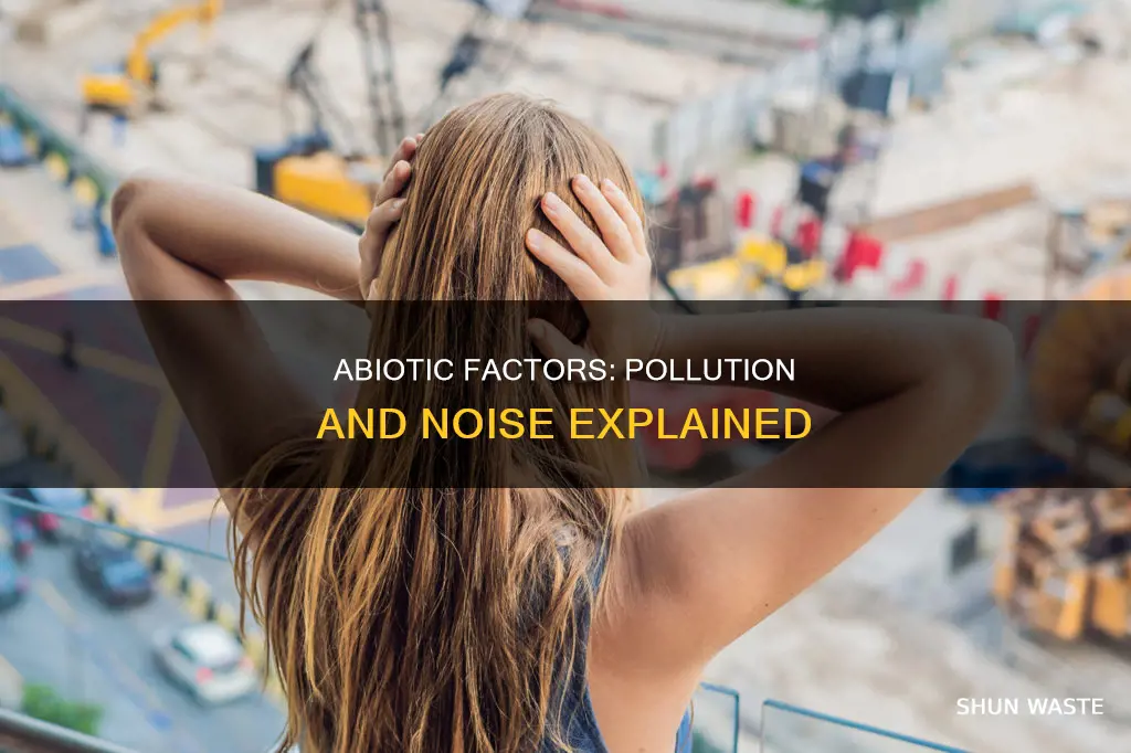 is pollution and noise abiotic factor