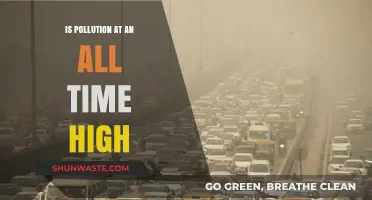 Pollution's Peak: Is the Worst Yet to Come?