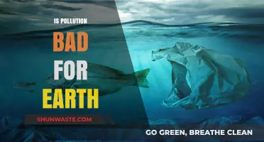 Pollution's Impact: Why Earth Suffers from Human Activity