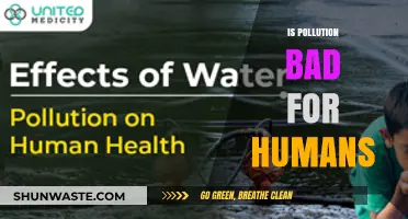 Pollution's Impact: Understanding the Human Cost