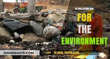 Pollution's Devastating Impact: Uncovering Environmental Consequences and Solutions