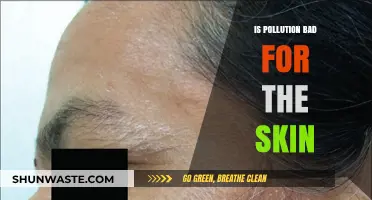 Pollution's Negative Impact on Skin Health